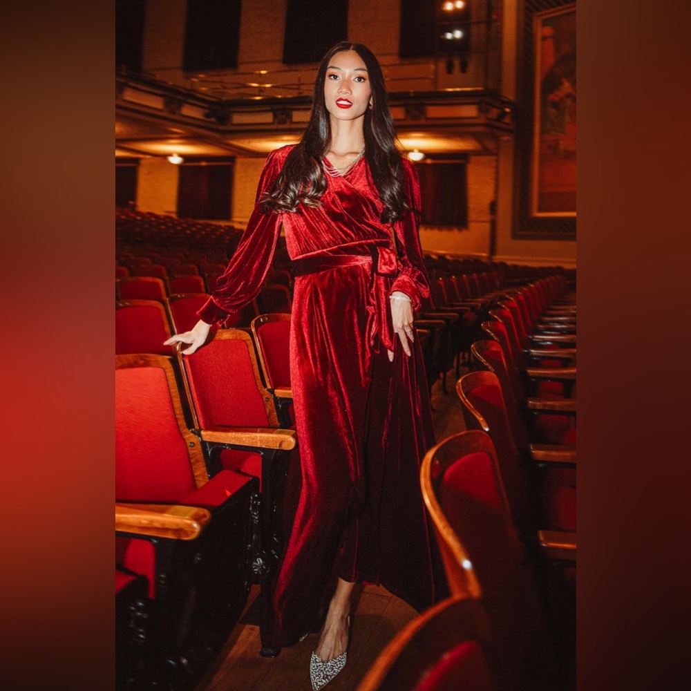 Ivy City Co. Andie dress in wine velvet. Size small, new with tags.